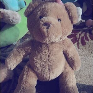 Aēropostale teddy bear